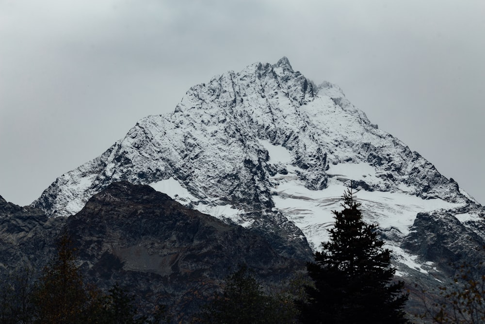 low angle photo of mountain