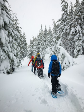 snowshoeing valle variata piemonte italy