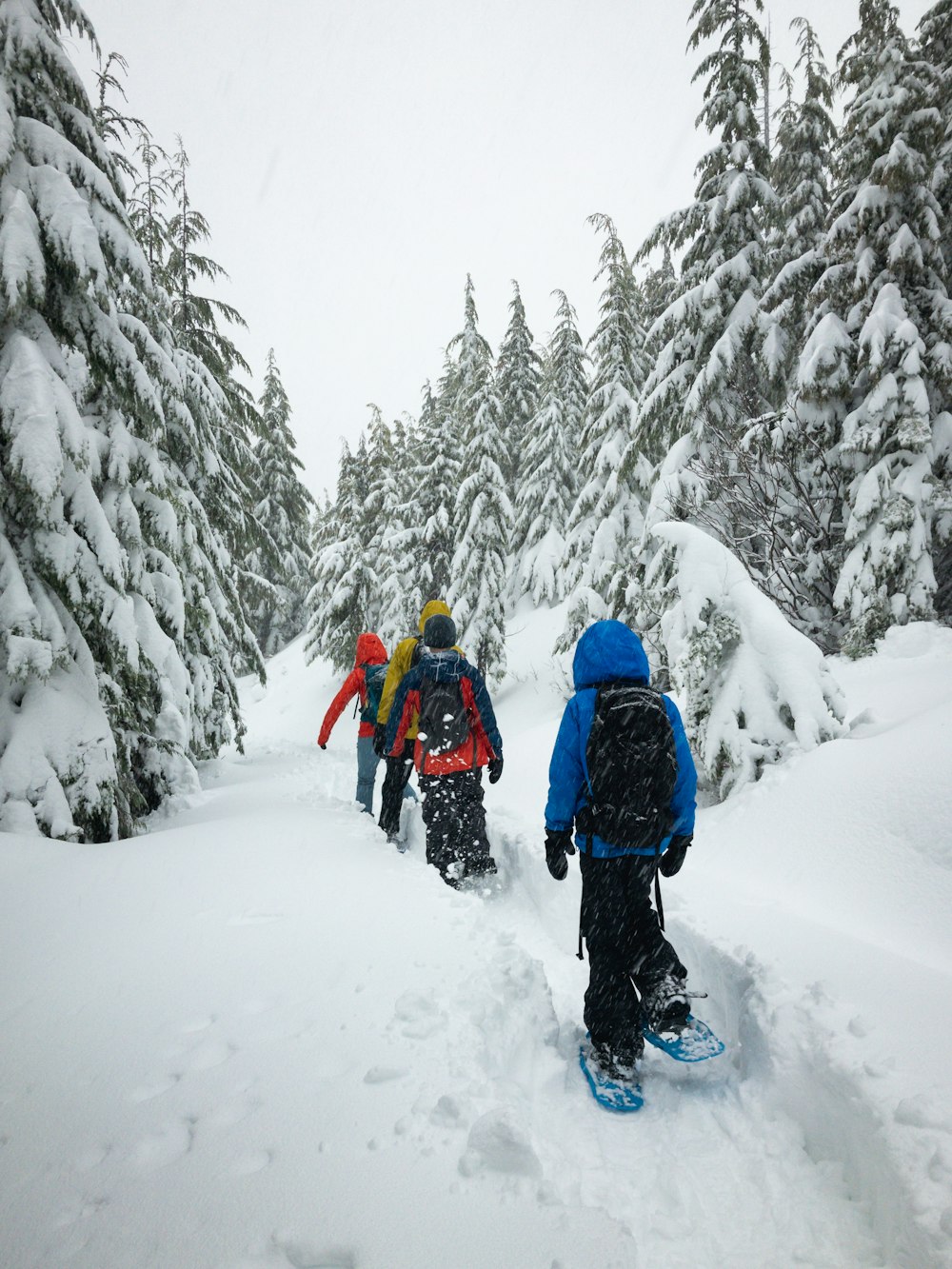 four person walking on snow field