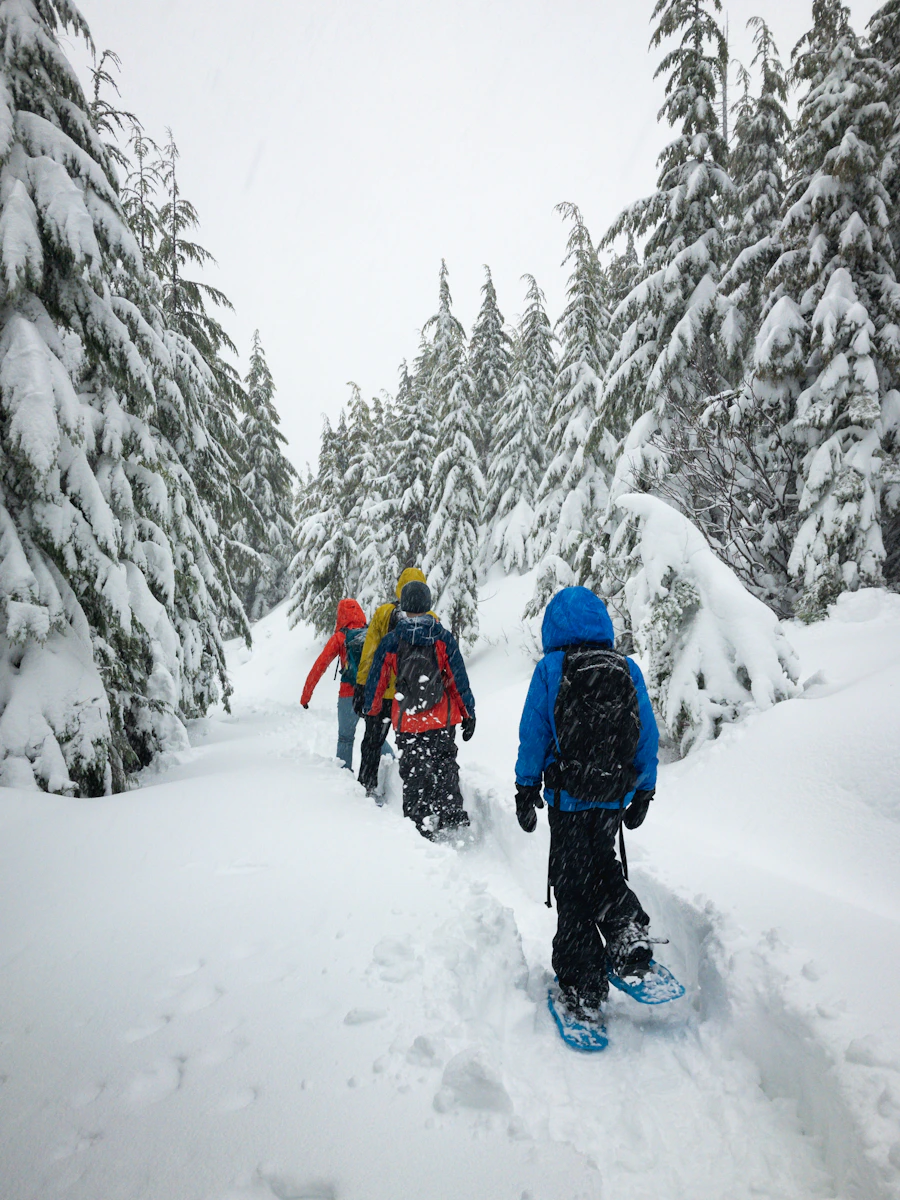 Backcountry Snowshoe