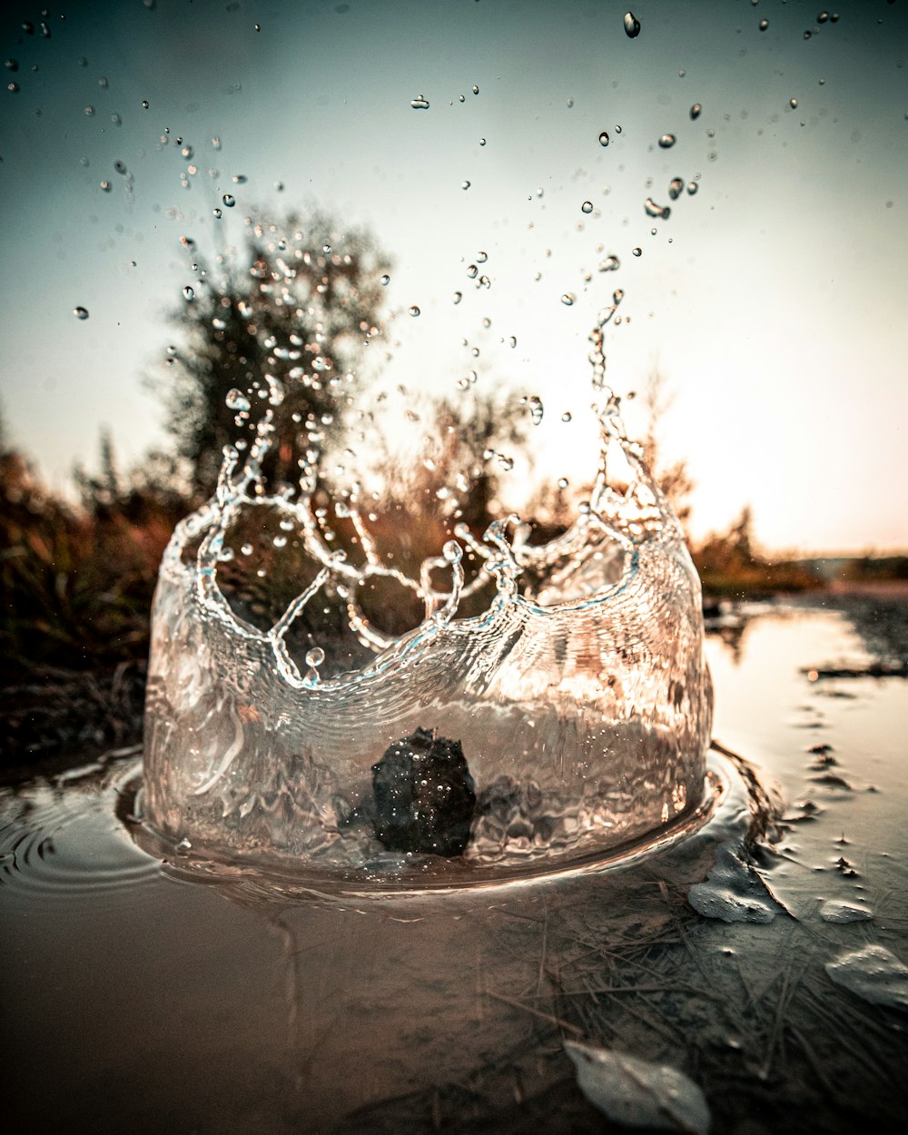 macro photography of water drops