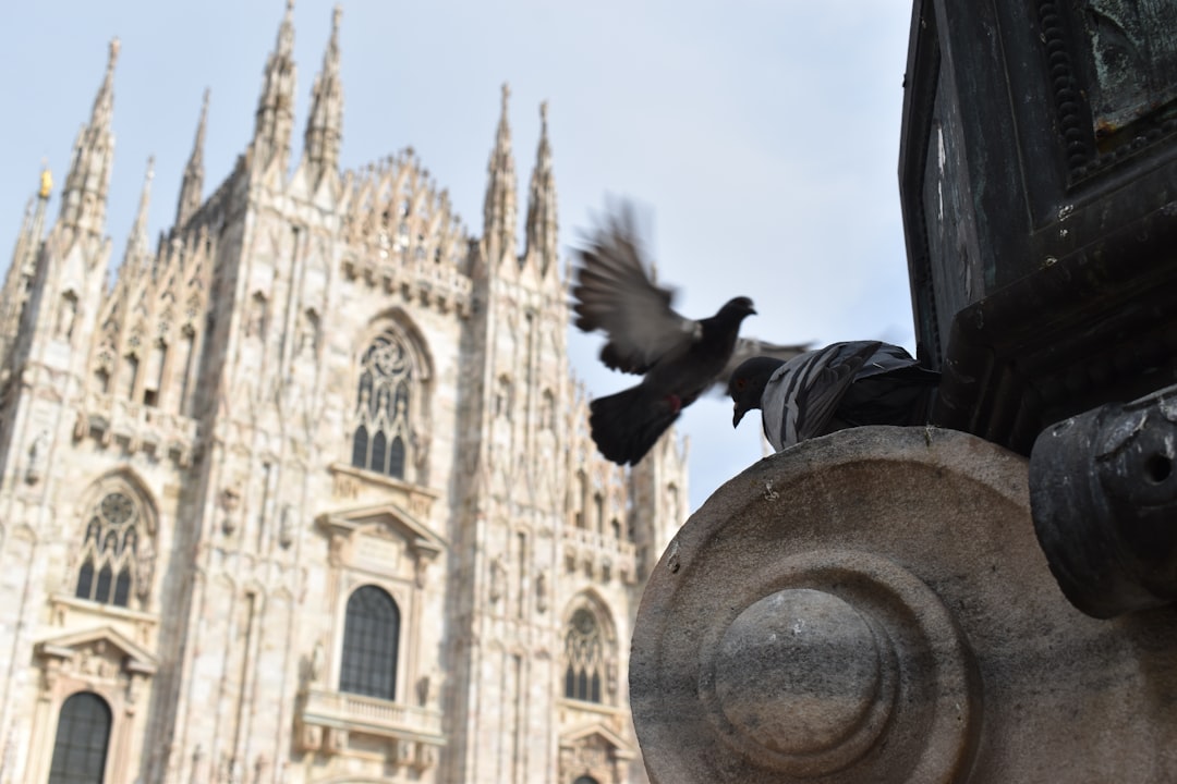 Cathedral photo spot Milan Cathedral Italy