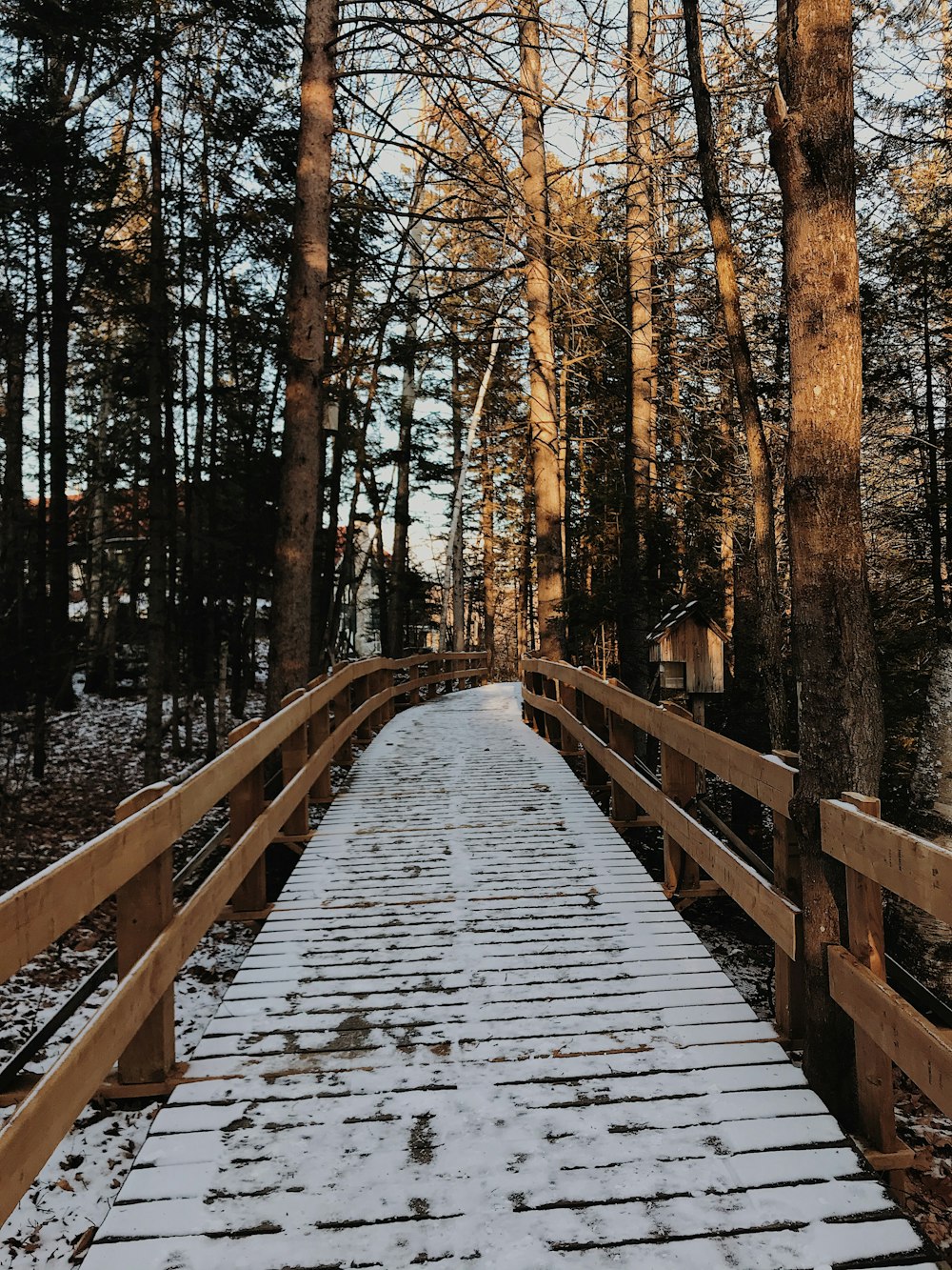 ponte de madeira marrom coberta de neve entre as árvores