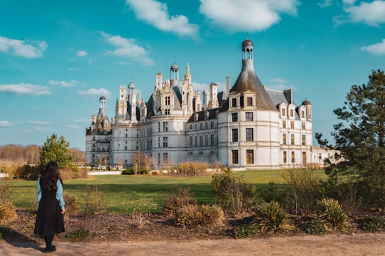 woman looking at gray and white castle in Château de Chambord France