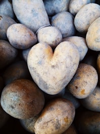 A collection of potatoes with one prominently heart-shaped potato in the center. The potatoes are dusty and vary in size and shape.