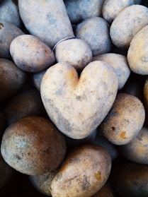 A collection of potatoes with one prominently heart-shaped potato in the center. The potatoes are dusty and vary in size and shape.