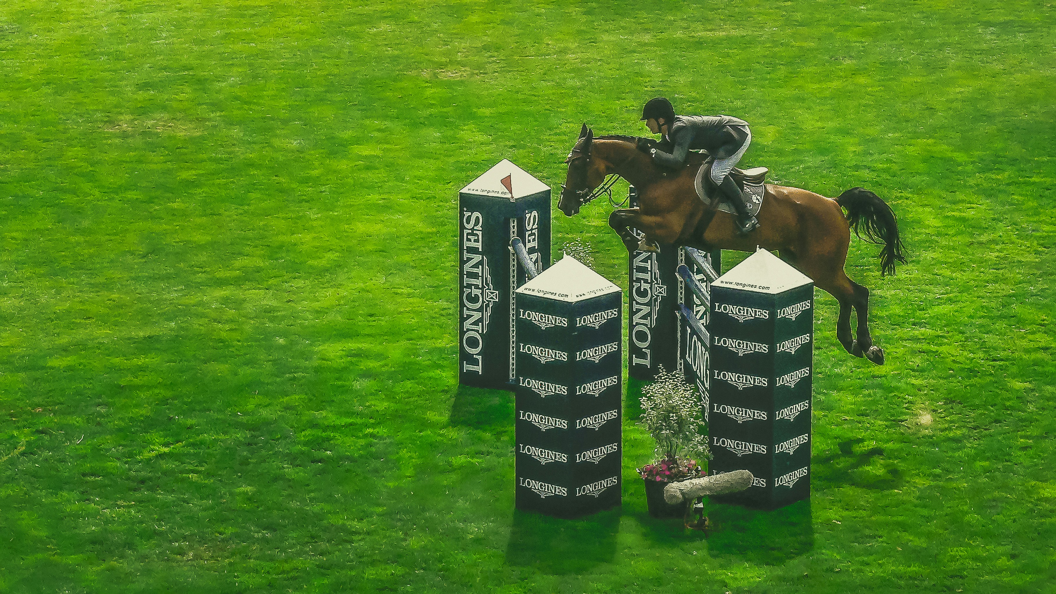 Eventing horse and rider jumping a cross-country fence in a green field