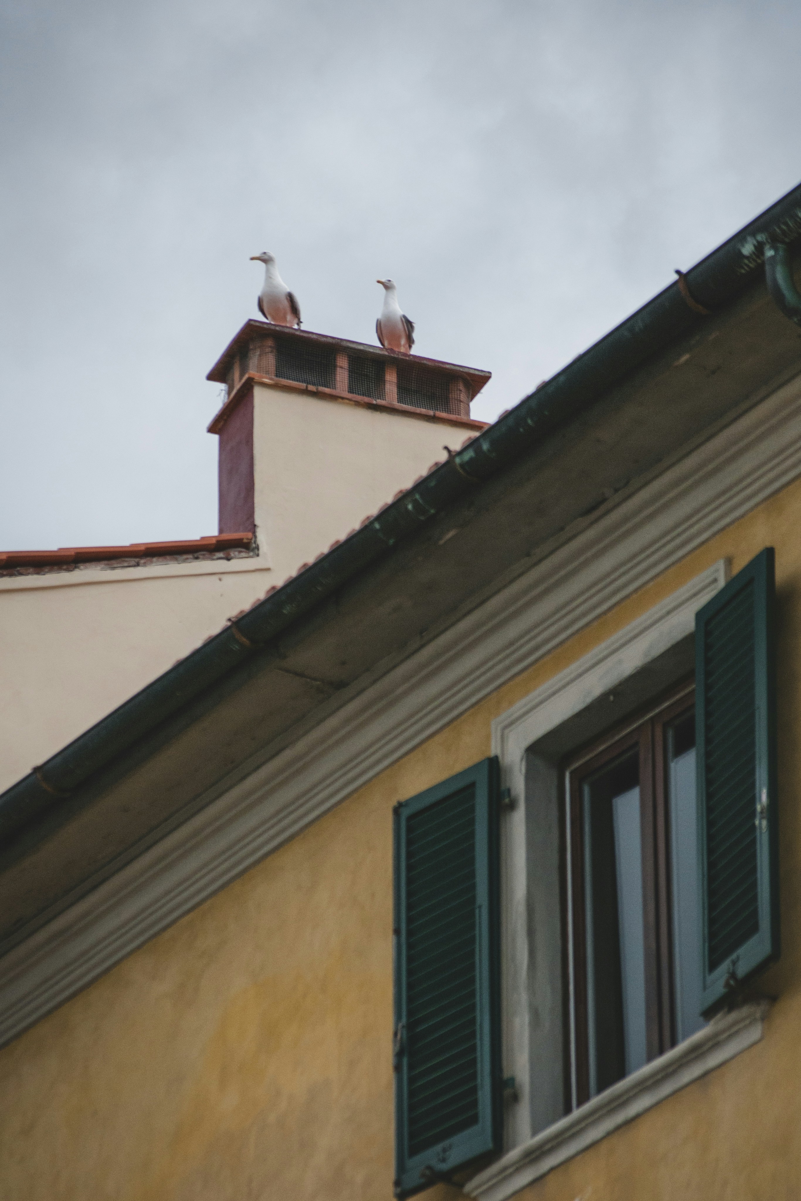 Photo by yuli_superson