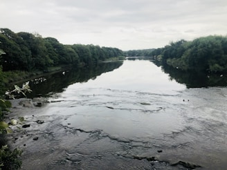A peaceful shot of Dim River surrounded by lush green trees reflecting in the water.