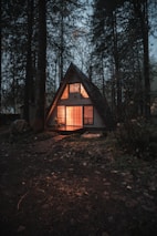 gray wooden house surrounded by trees