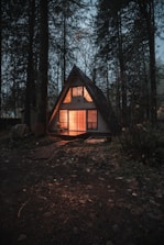 gray wooden house surrounded by trees