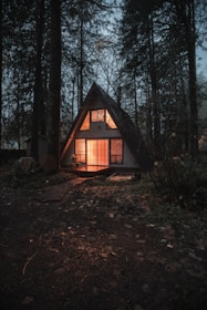 gray wooden house surrounded by trees