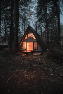 gray wooden house surrounded by trees