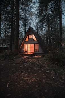 gray wooden house surrounded by trees