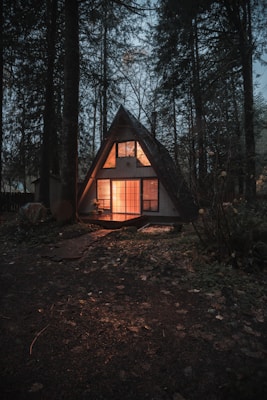 gray wooden house surrounded by trees