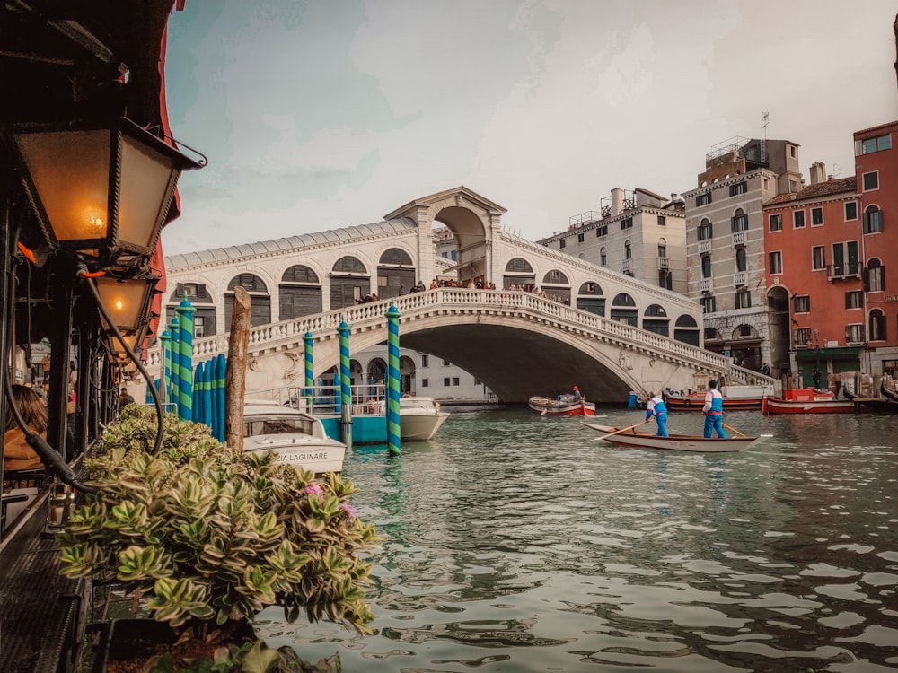 touring boats passing near Rialto Bridge