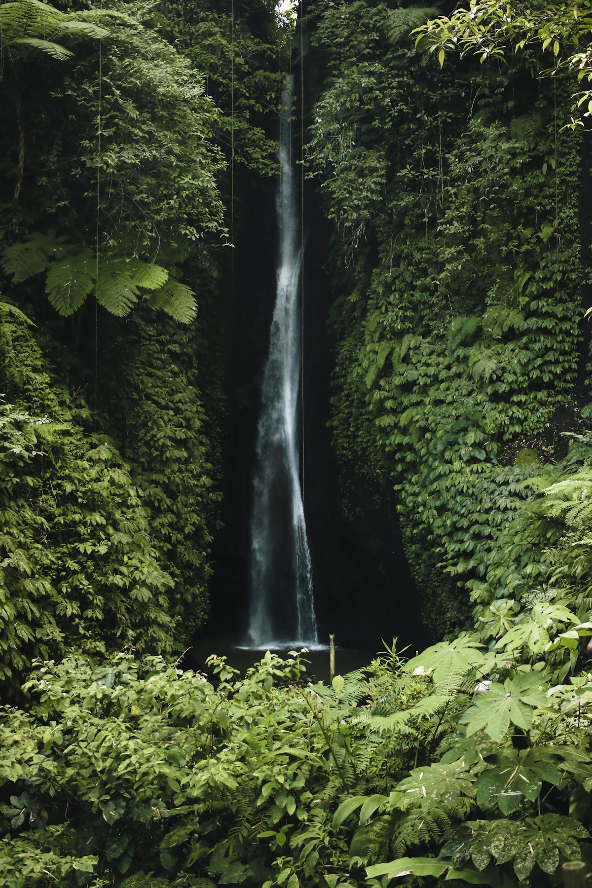 Hidden Waterfall