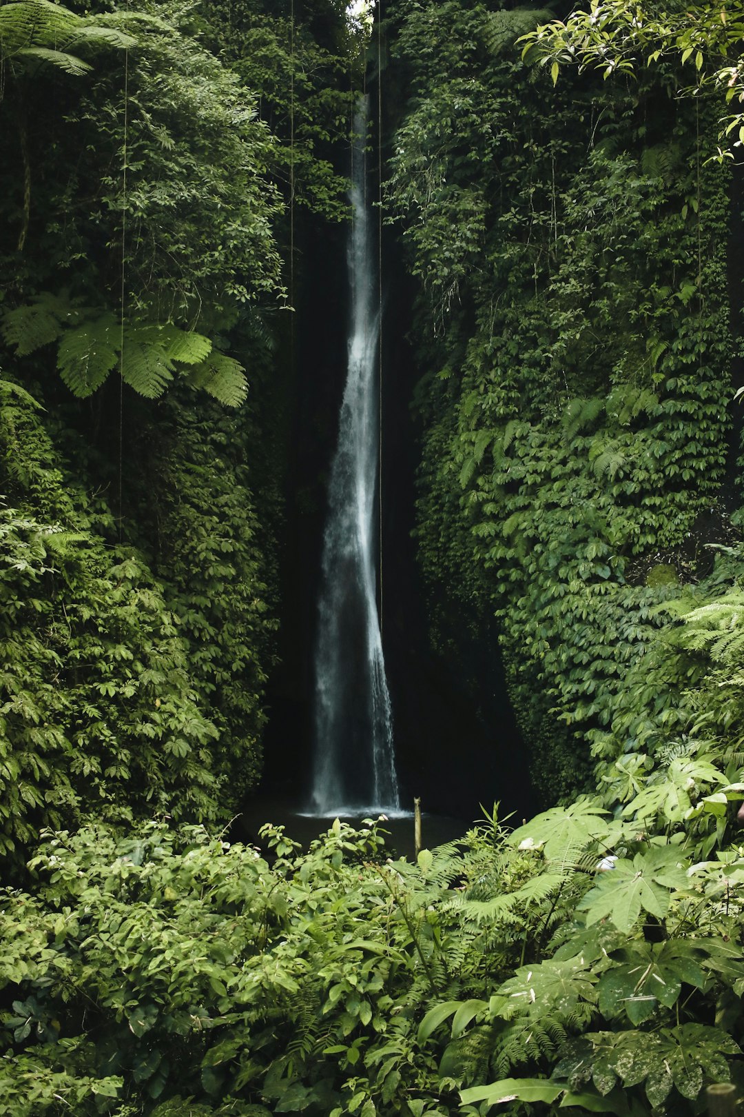 Waterfall photo spot Bali Kabupaten Buleleng