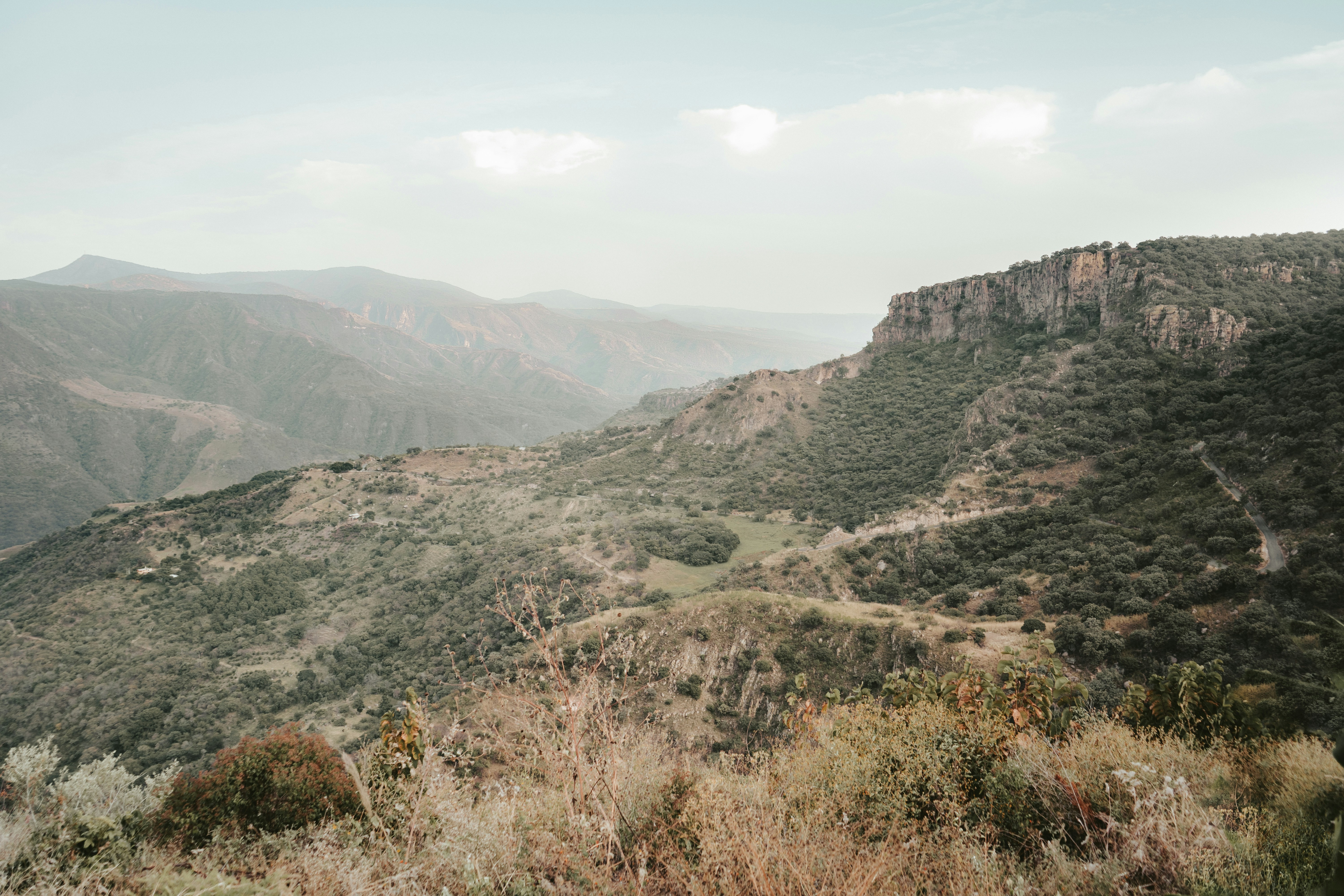 Photo by brunocervera