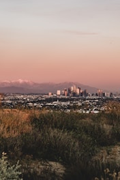 A city skyline is visible in the distance with a large expanse of natural grassland in the foreground. Snow-capped mountains are seen in the background under a soft, pastel-colored sky at sunset.
