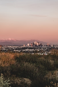 A city skyline is visible in the distance with a large expanse of natural grassland in the foreground. Snow-capped mountains are seen in the background under a soft, pastel-colored sky at sunset.