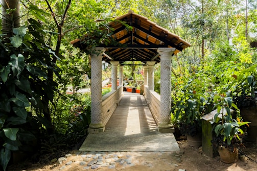 A beautifully crafted covered walkway with decorative columns stands amidst lush greenery. Sunlight filters through the foliage, casting a gentle pattern of light and shadow on the pathway. The serene environment suggests a peaceful retreat surrounded by nature.