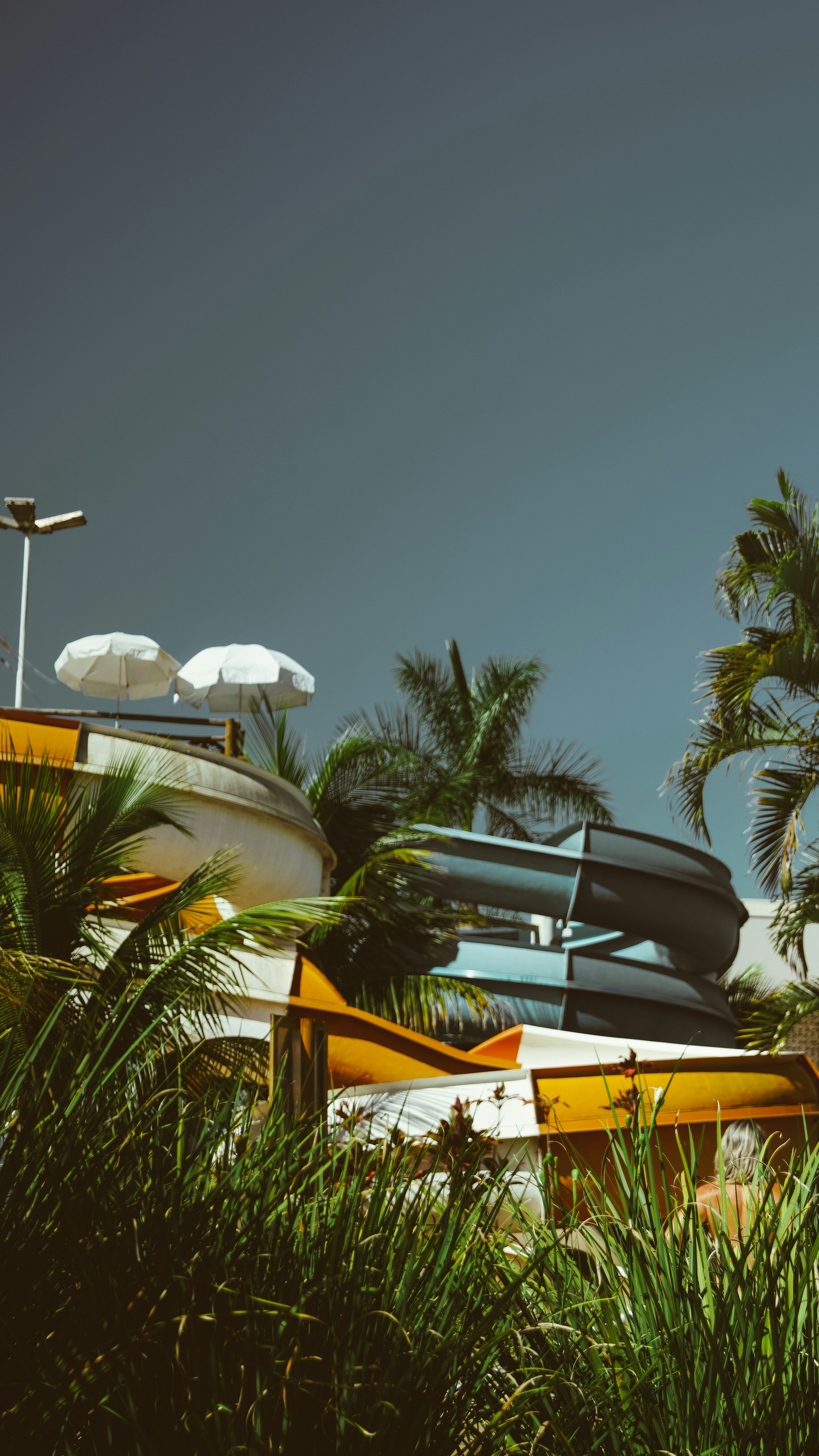 Photo by mirandanenee