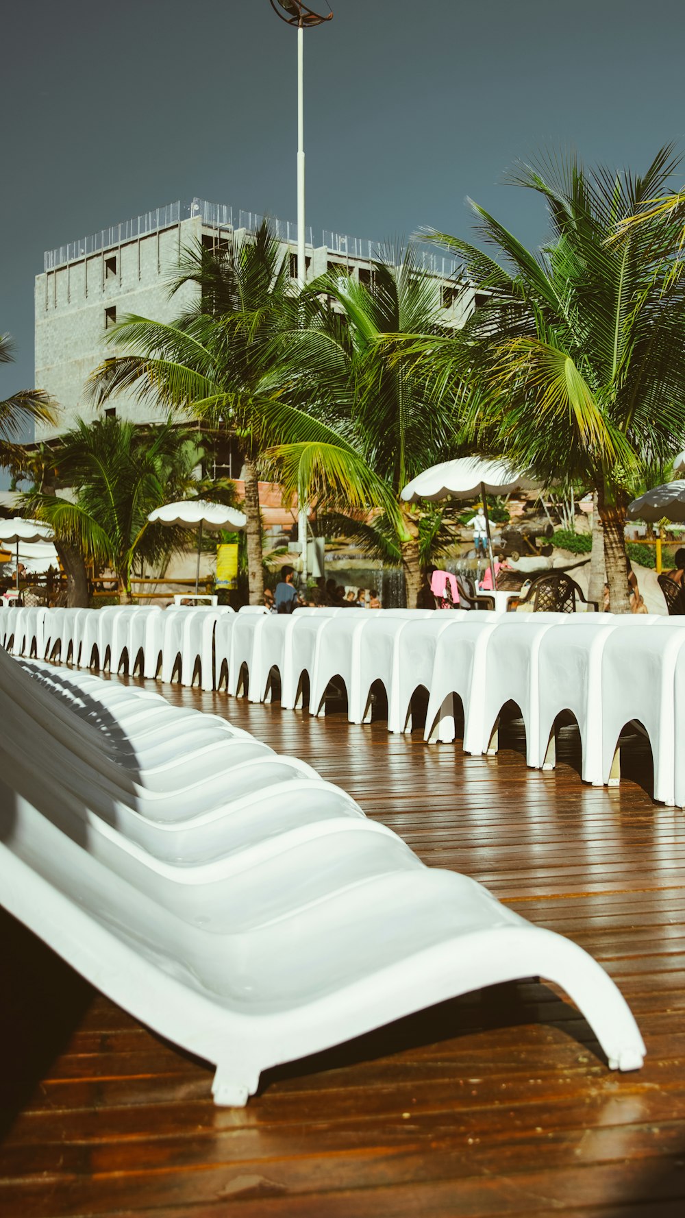 empty white loungers in front of green trees