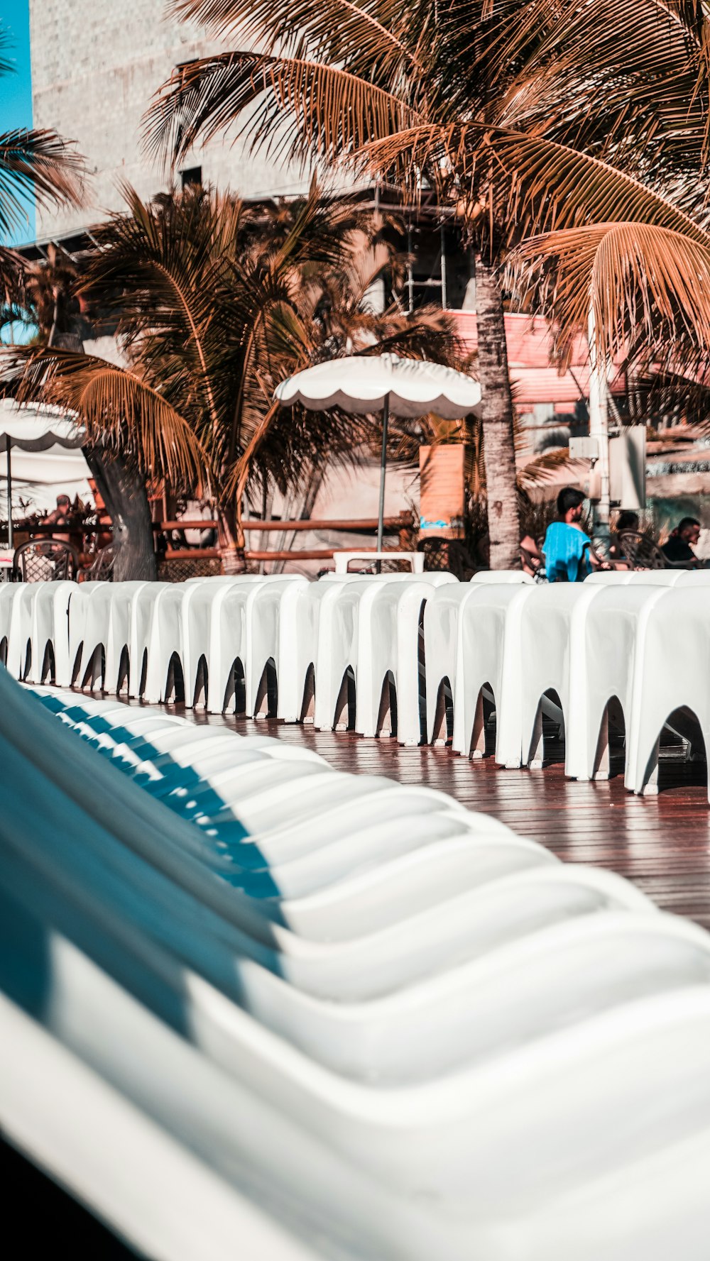 a row of white chairs sitting next to each other