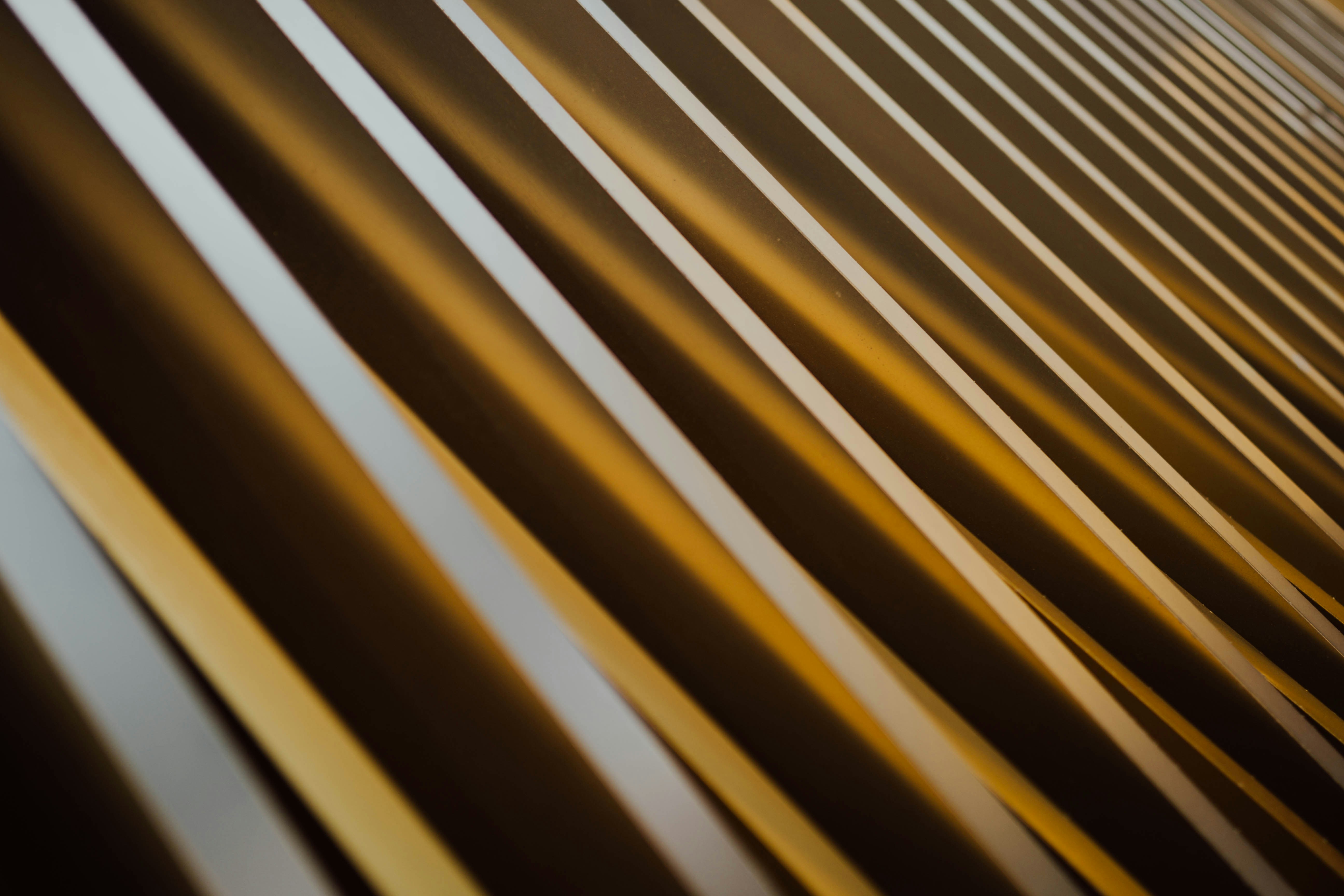 Photo by chuttersnap