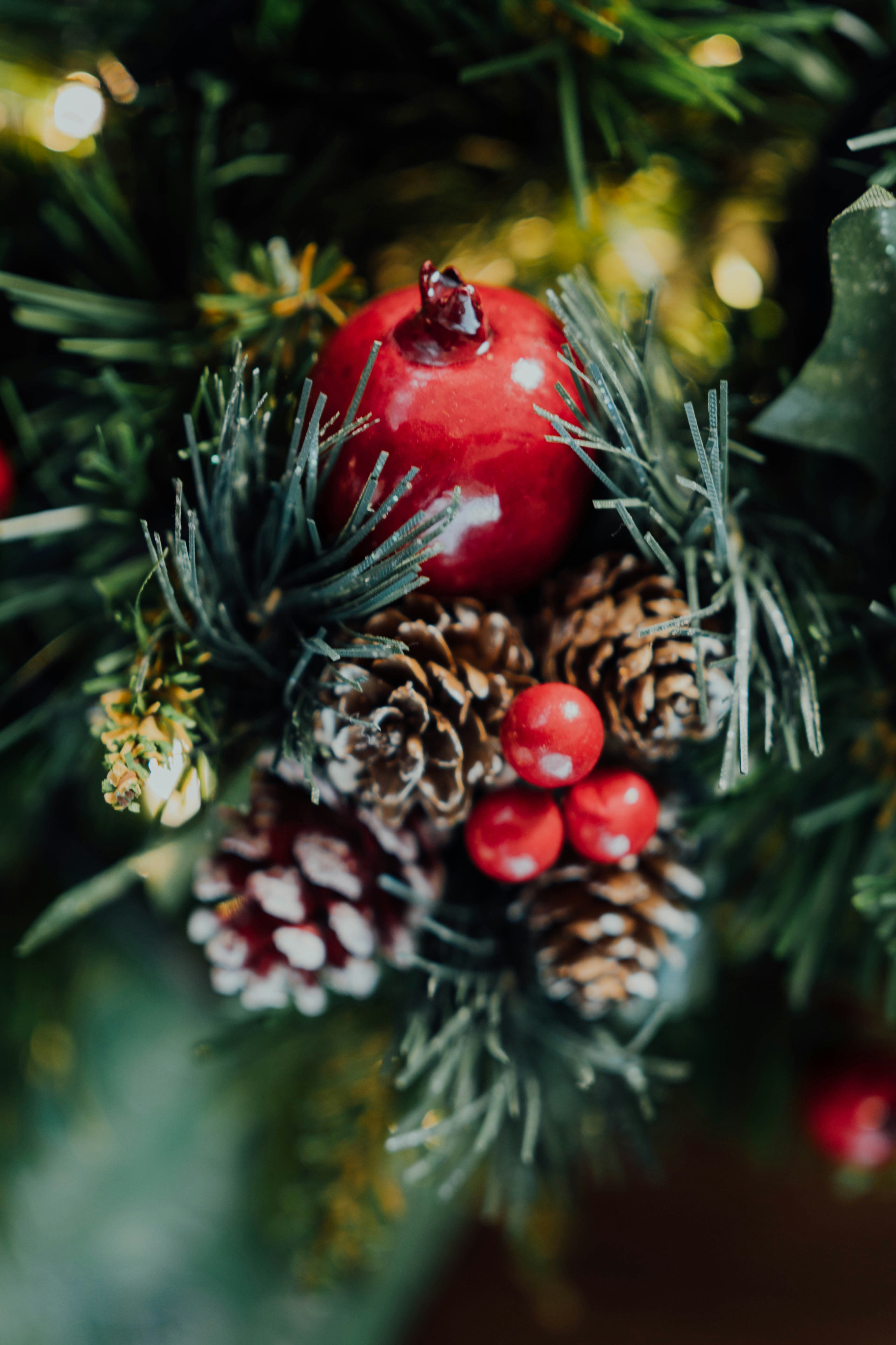 Photo by chuttersnap