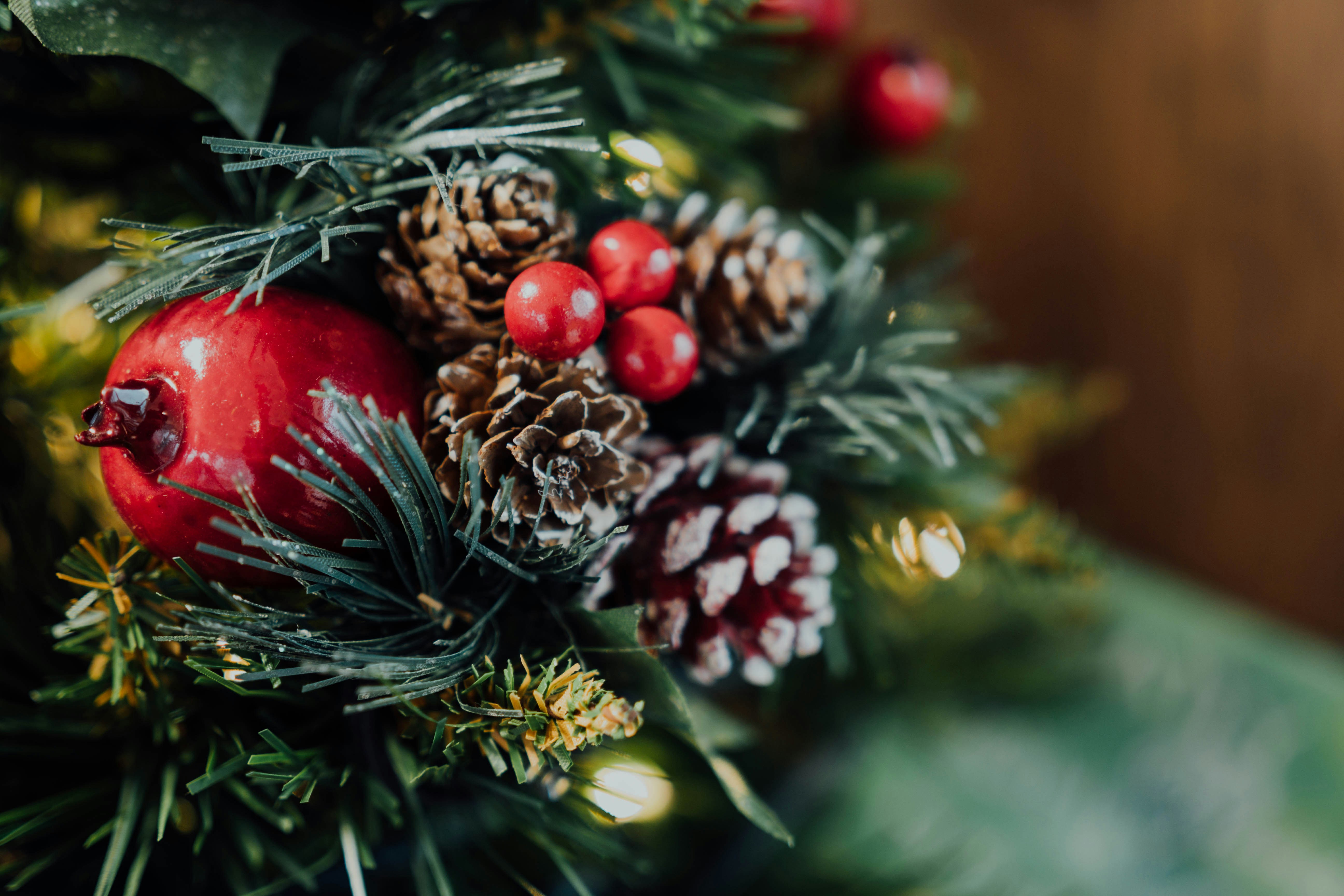 Photo by chuttersnap