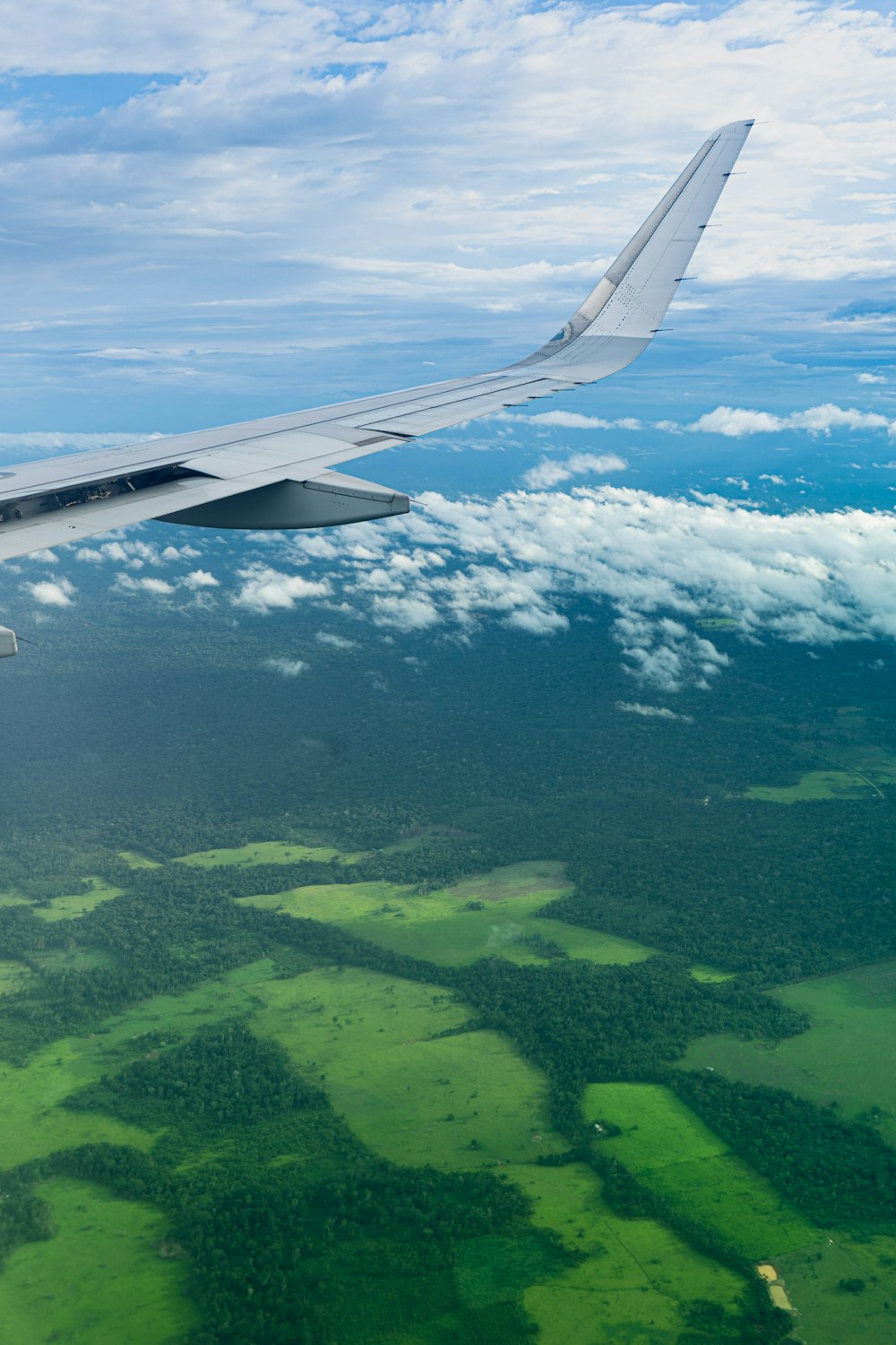 an airplane wing flying over a lush green field