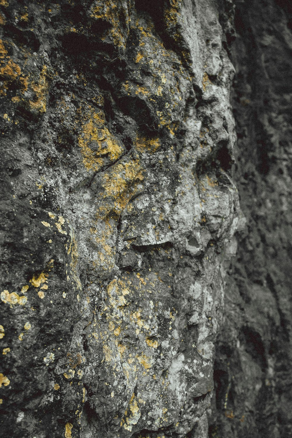 a close up of a rock face with lichen on it