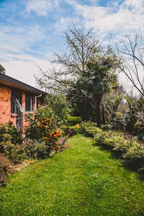 A vibrant garden features lush green grass, a variety of trees, and a brick house with visible windows. Orange fruit hangs from a tree, while other plants and shrubs fill the space.