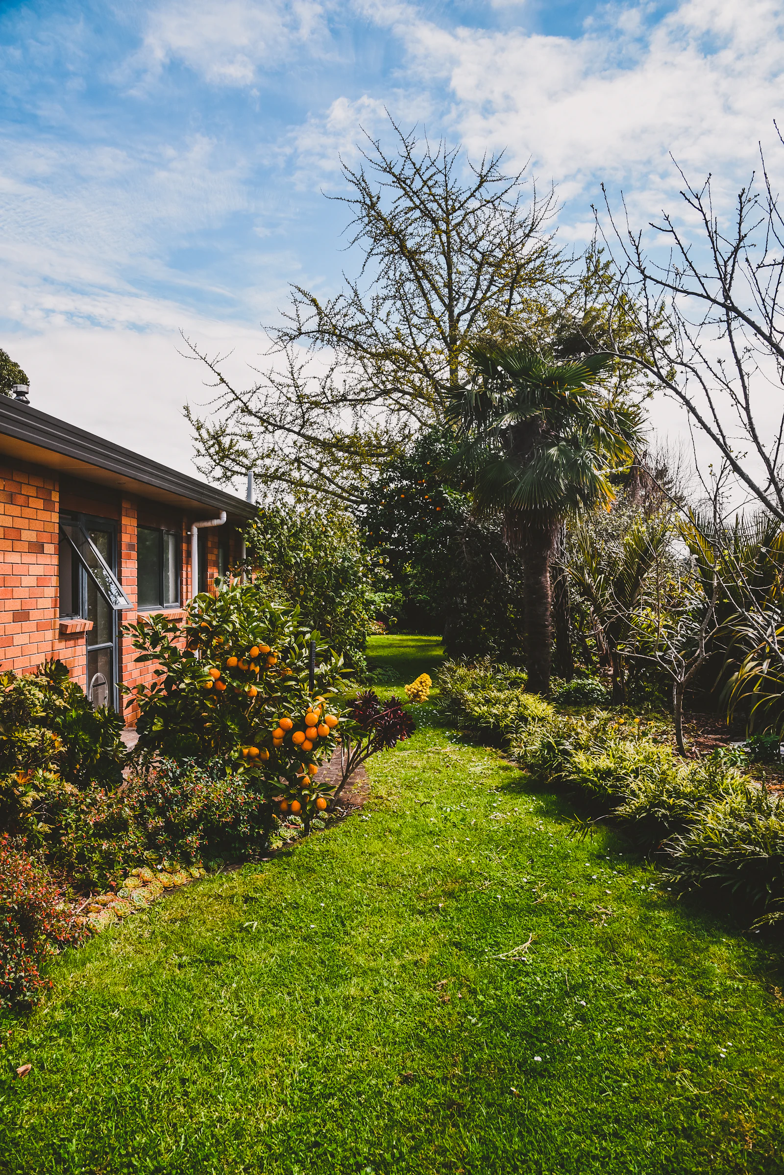 Entretien de jardin à Deauville et Trouville