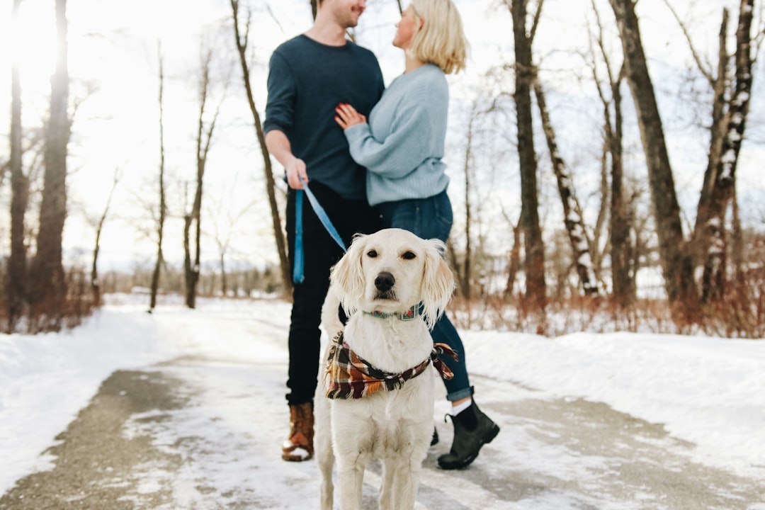 man holding leash of tan dog