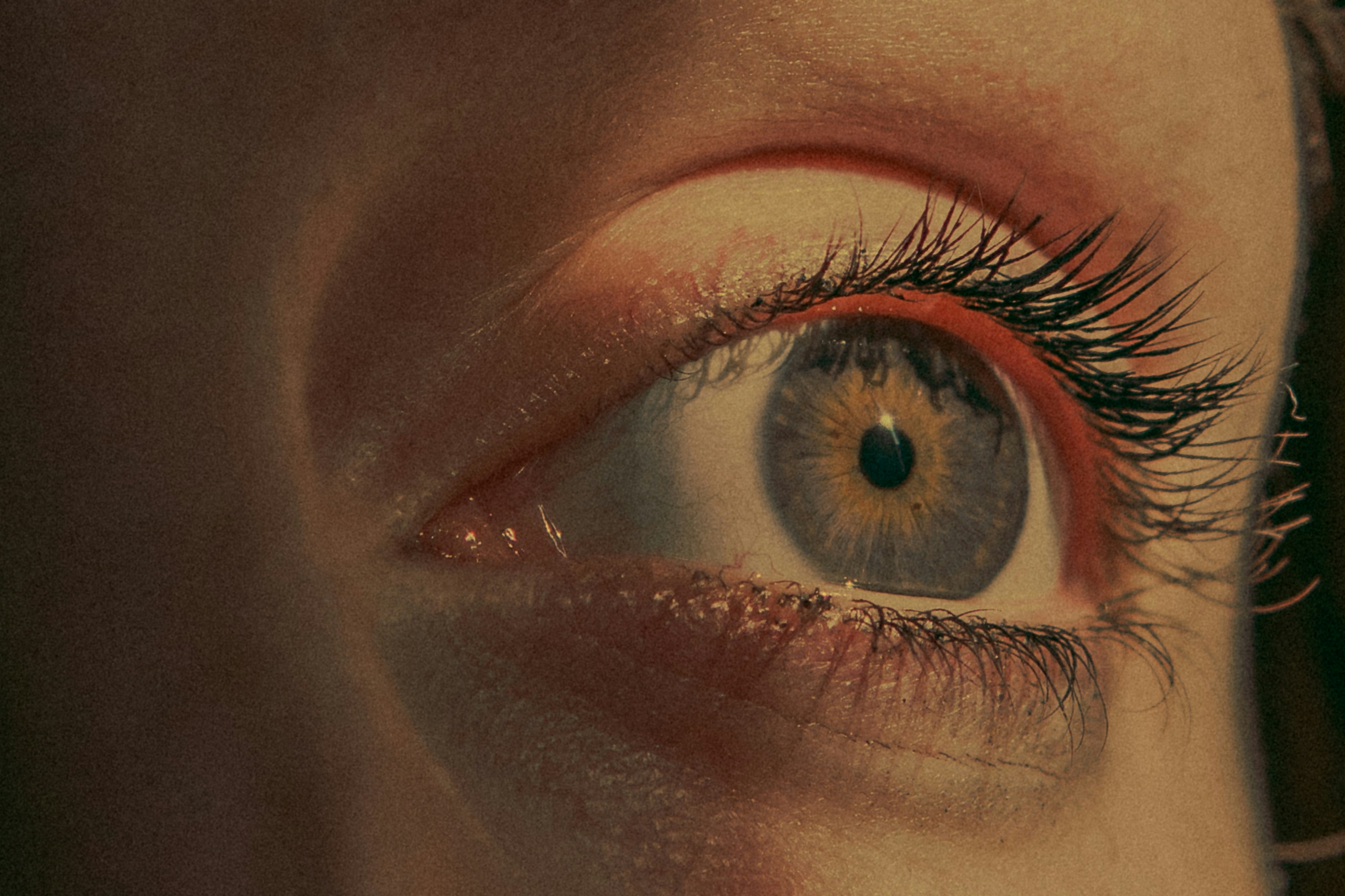 Photo by bitter_fruitt