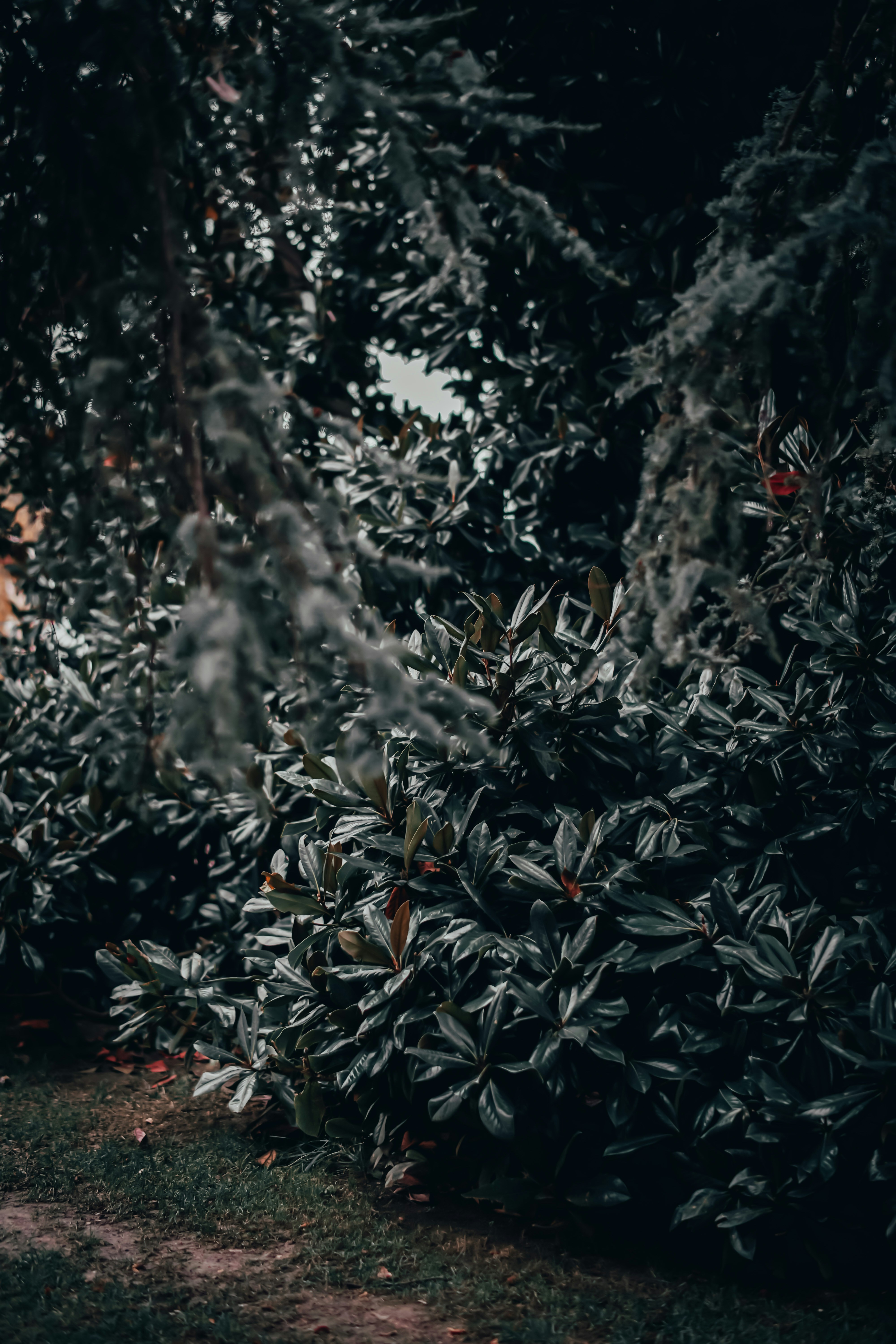 Photo by faruktokluoglu