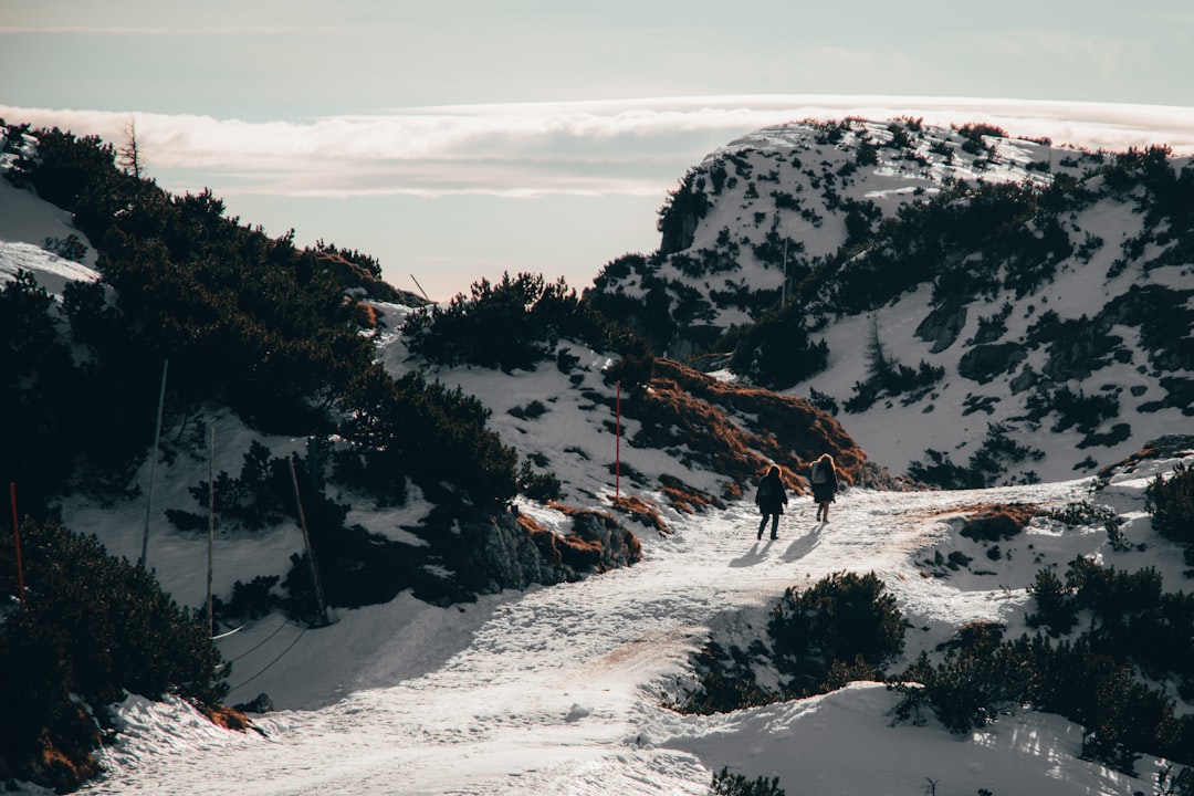 two person walking on mountain,