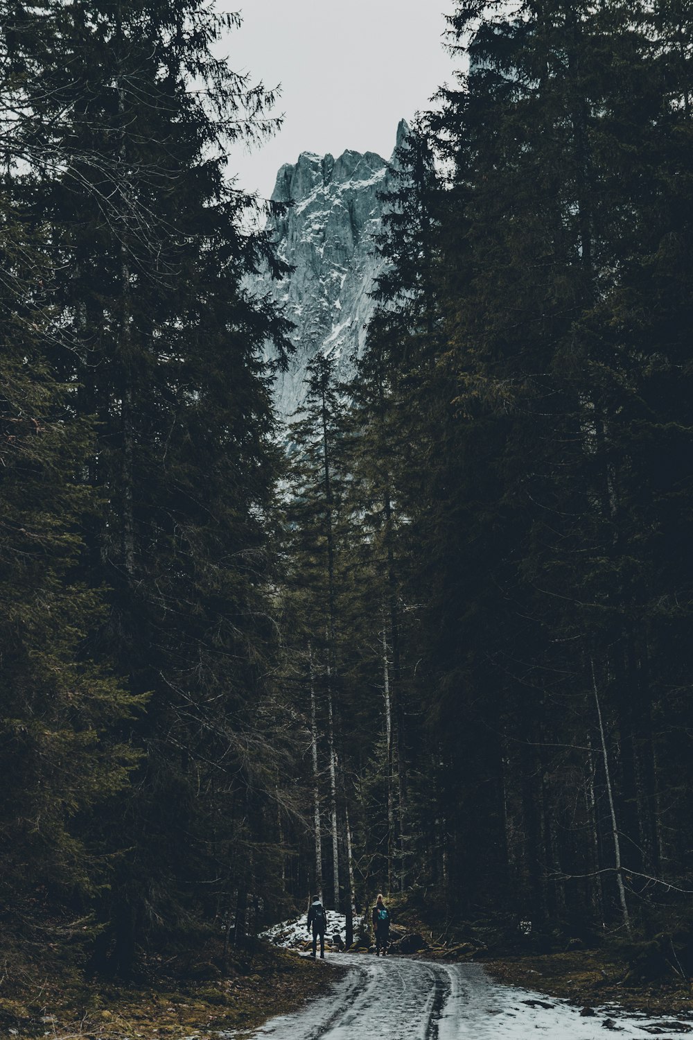 a road in the middle of a forest with a mountain in the background