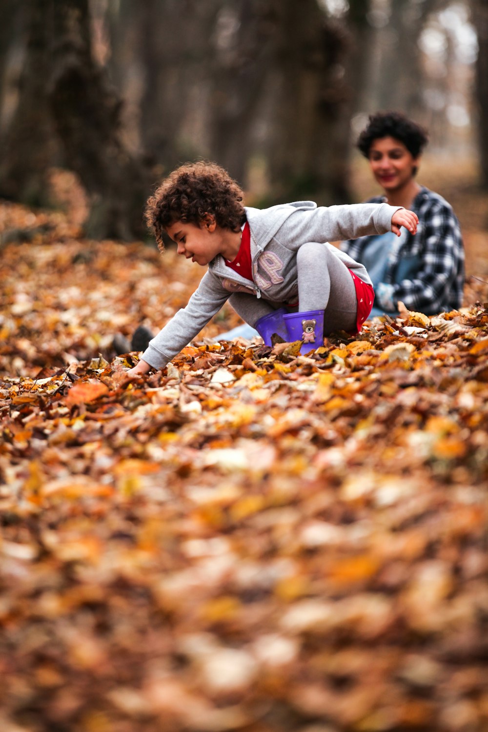 boy sitting on brown leaves