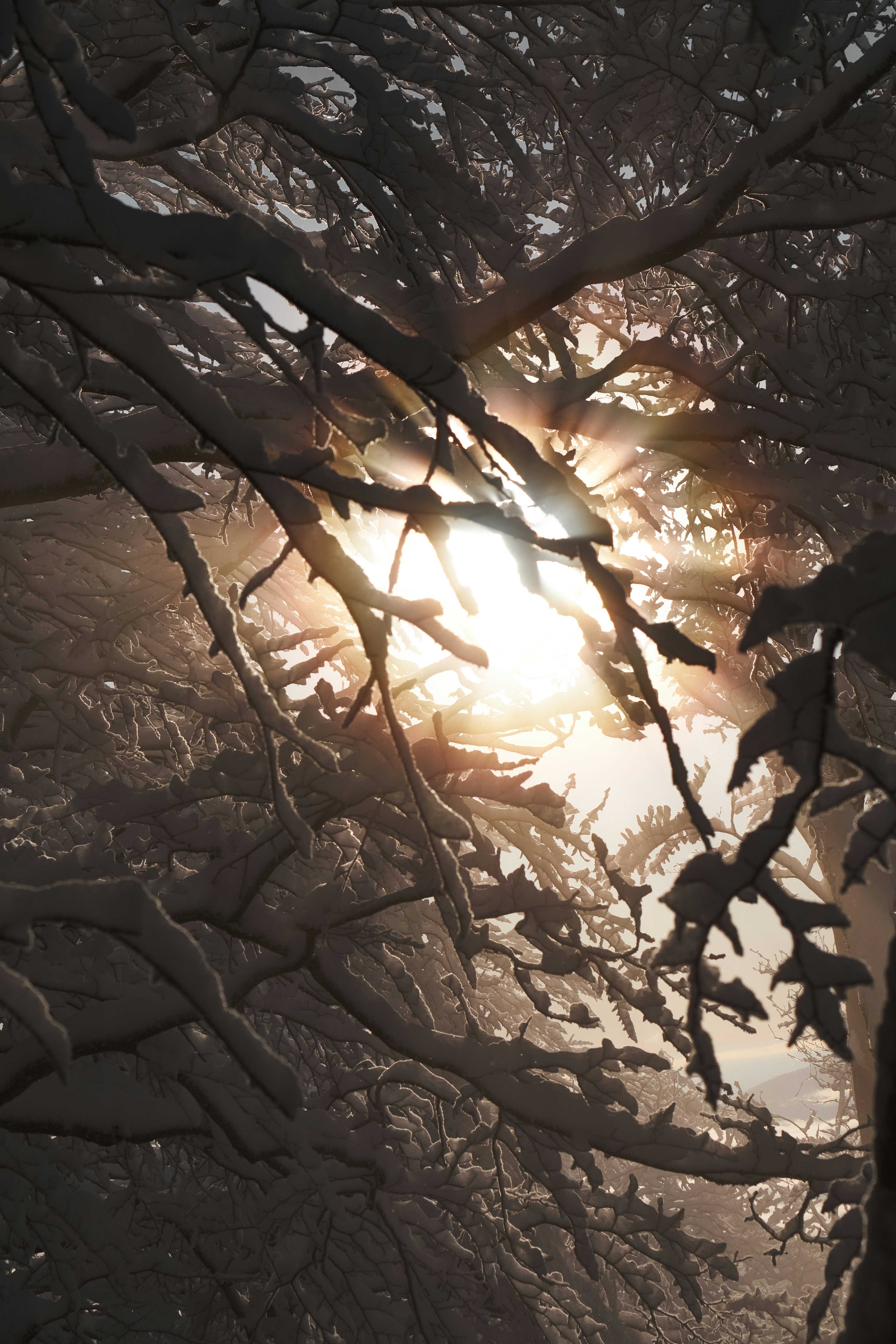 Photo by kristjankotar