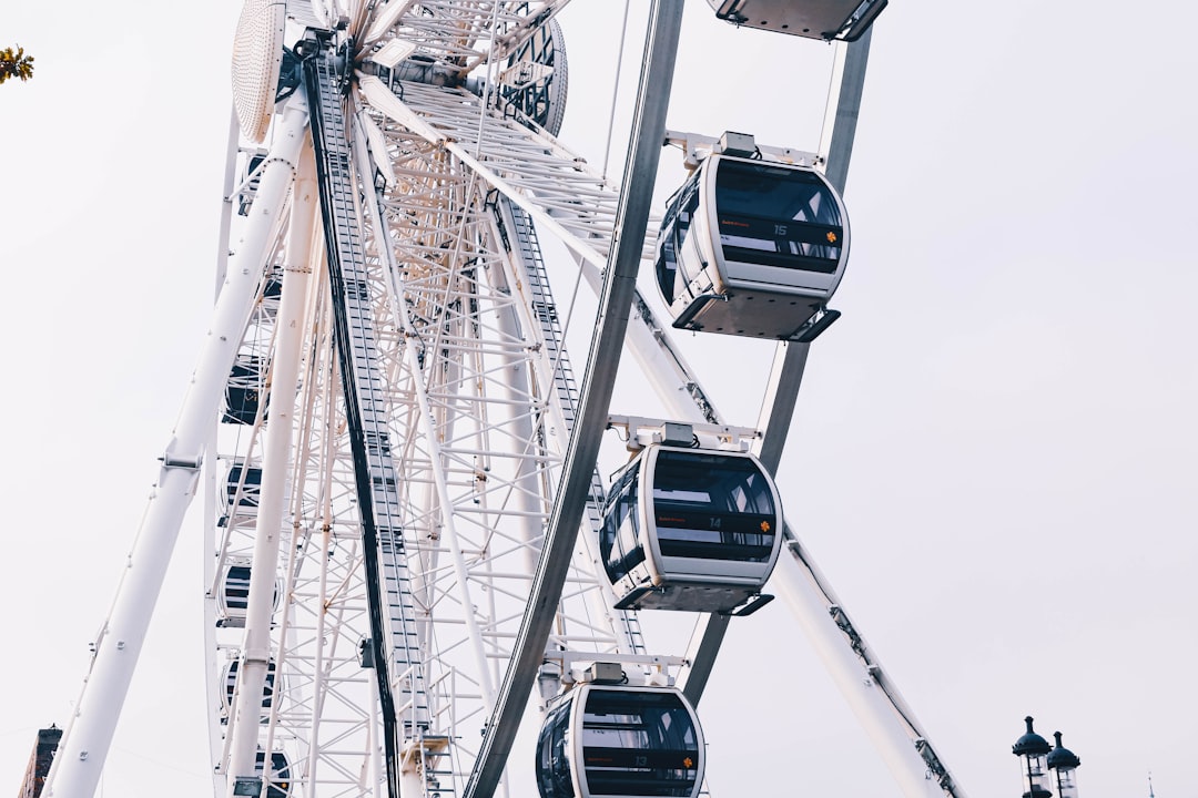 Ferris wheel during day\