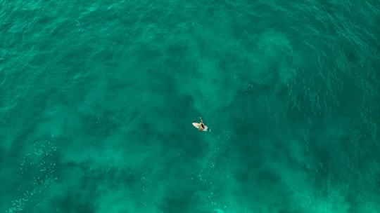 photo of Zarautz Underwater near La Concha Beach