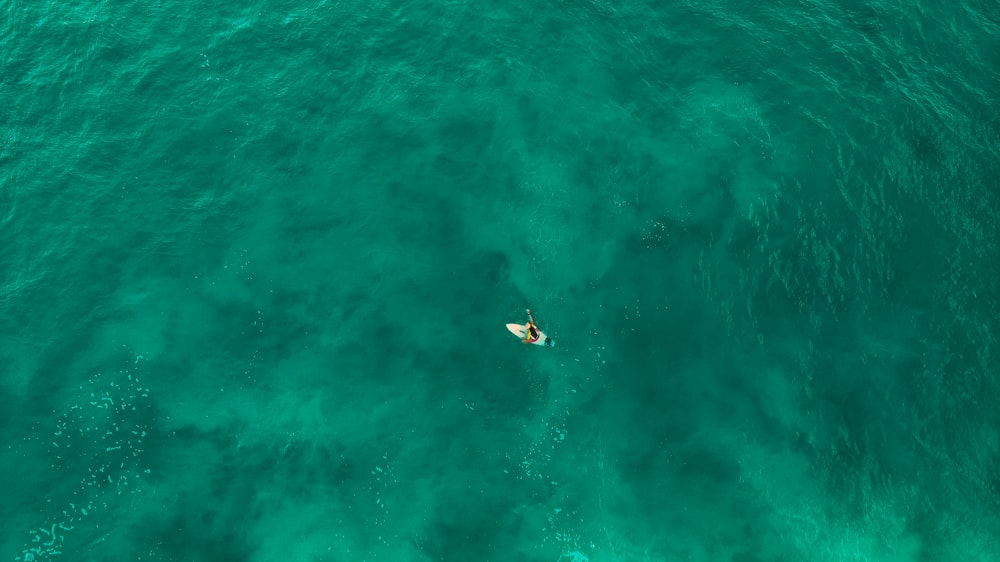 Una persona che cavalca una tavola da surf in mezzo all'oceano