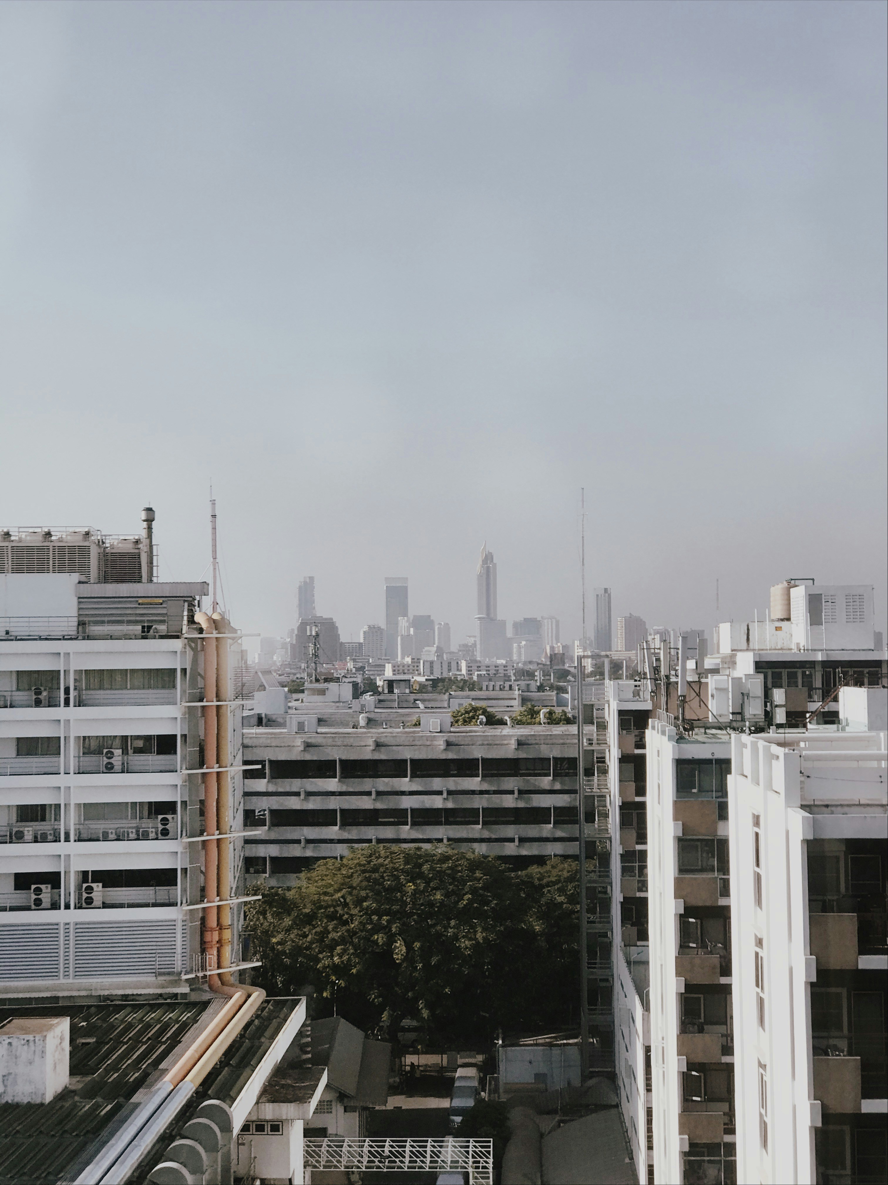 far from sky