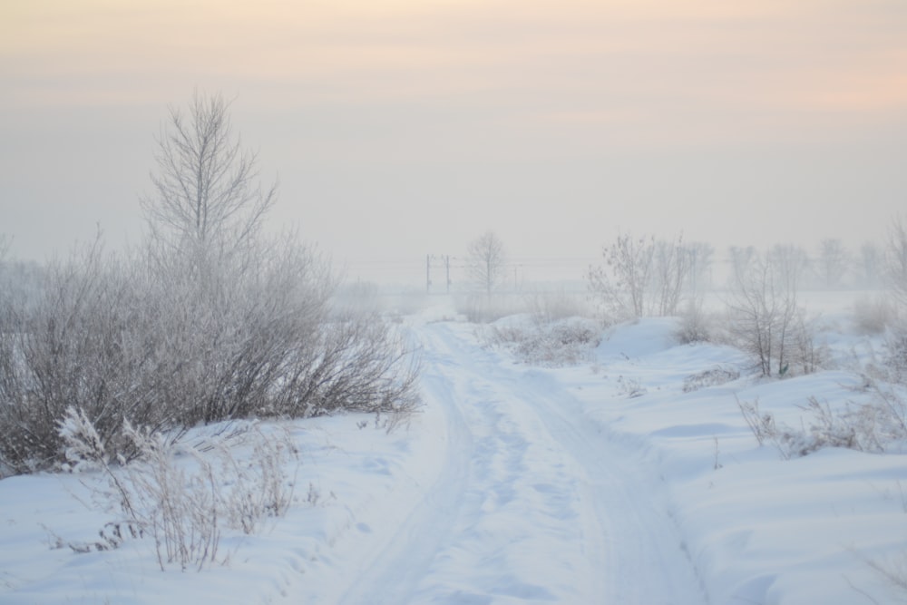 empty road