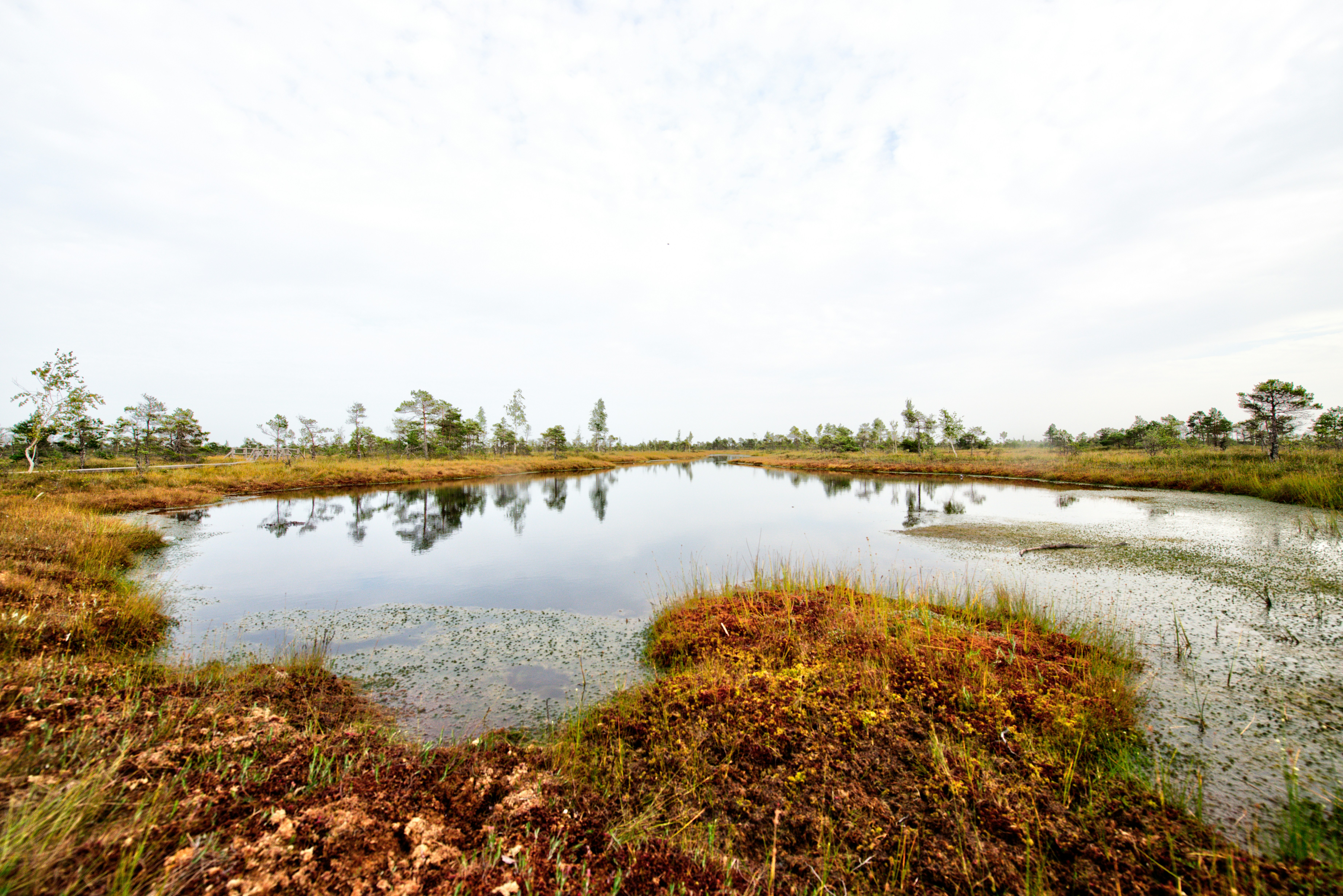 Photo by jacquesbopp