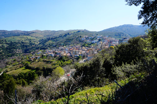 A scenic view of a small town representing the local community focus.